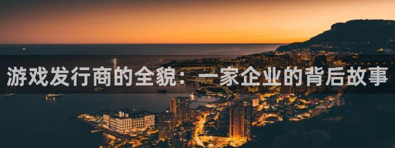 亿万28衣服怎么样：游戏发行商的全貌：一家企业的背后故事
