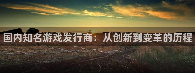 陕西亿万28子文化创意是什么：国内知名游戏发行商：从创新到变革的历程