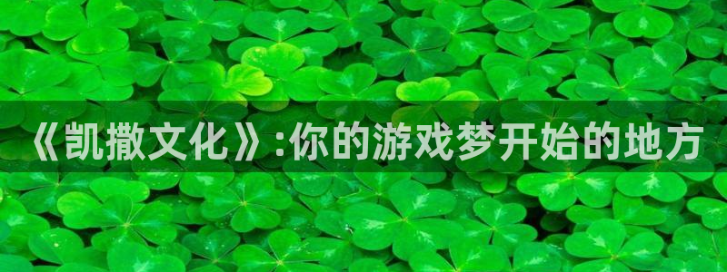 亿万28技术有限公司官网：《凯撒文化》:你的游戏梦开始的地方