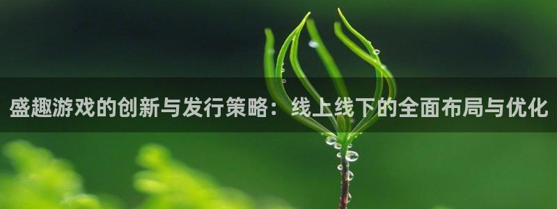 广州亿万28投资：盛趣游戏的创新与发行策略：线上线下的全面布局与优化