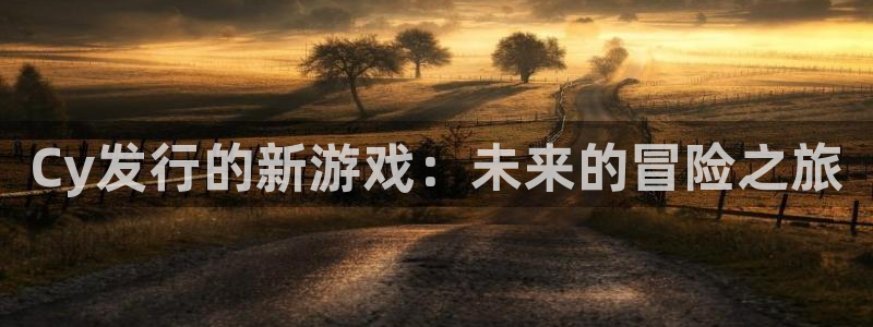 亿万28官网官网注册账号：Cy发行的新游戏：未来的冒险之旅