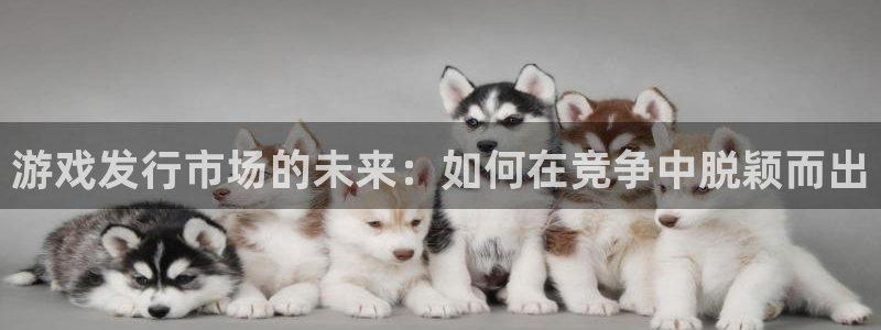 广东亿万28电子科技有限公司：游戏发行市场的未来：如何在竞争中脱颖而出