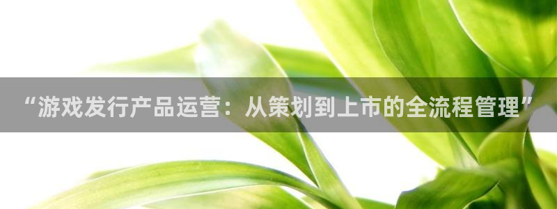 亿万28集团：“游戏发行产品运营：从策划到上市的全流程管理”