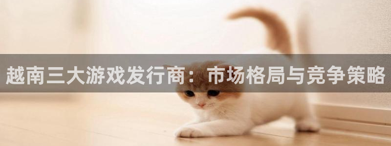 陕西亿万28子文化创意有限公司1：越南三大游戏发行商：市场格局与竞争策略