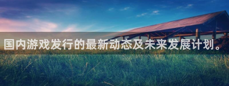 亿万28好还是红狮好：国内游戏发行的最新动态及未来发展计划。