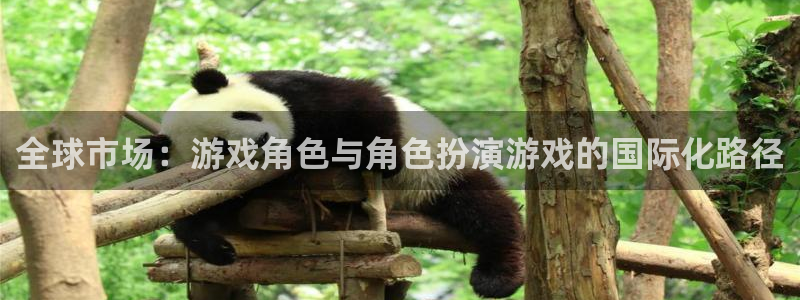 亿万28官网注册登录：全球市场：游戏角色与角色扮演游戏的国际化路径