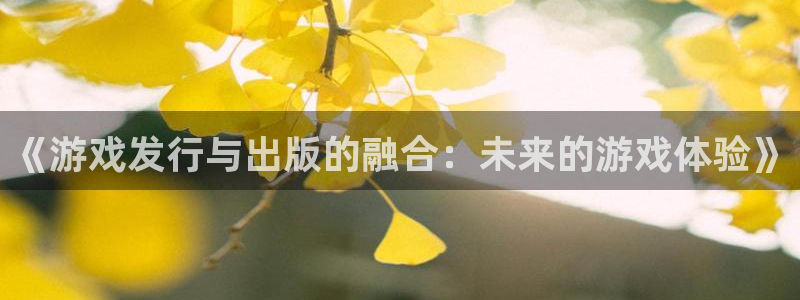 亿万28官网官网注册账号：《游戏发行与出版的融合：未来的游戏体验》