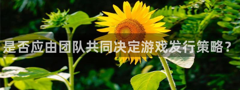 陕西亿万28子文化创意有限公司有什么游戏