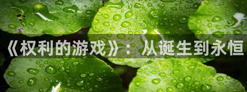 广州亿万28网络科技有限公司招聘：《权利的游戏》：从诞生到永恒