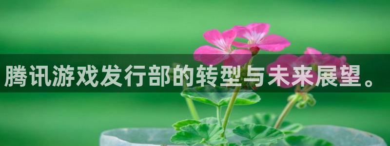 亿万28技术有限公司：腾讯游戏发行部的转型与未来展望。