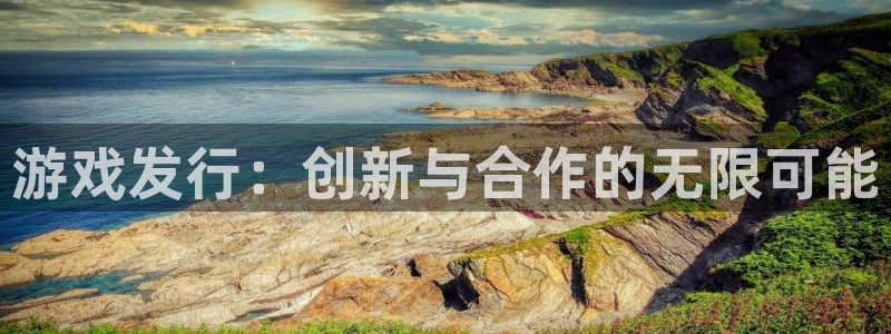 亿万28官网注册登录官网：游戏发行：创新与合作的无限可能