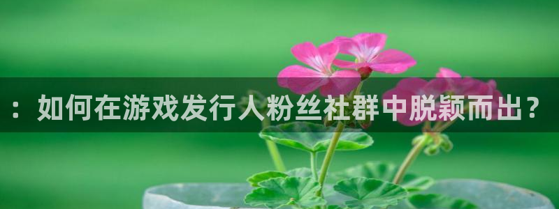 江苏亿万28：：如何在游戏发行人粉丝社群中脱颖而出？