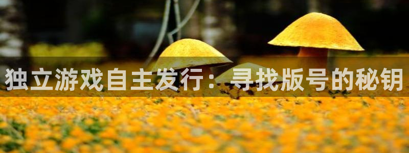 亿万28子集团：独立游戏自主发行：寻找版号的秘钥