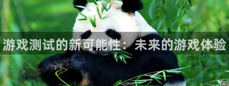 亿万28品牌设计：游戏测试的新可能性：未来的游戏体验