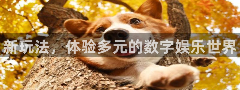 亿万28技术有限公司官网：新玩法，体验多元的数字娱乐世界