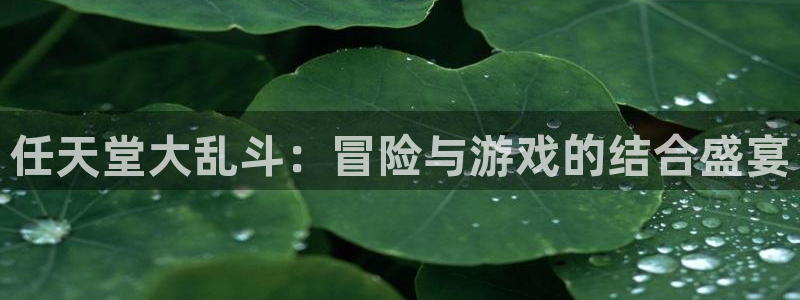 亿万28是什么品牌：任天堂大乱斗：冒险与游戏的结合盛宴