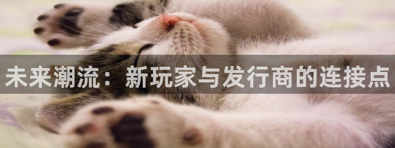 亿万28官网平台代理条件是什么：未来潮流：新玩家与发行商的连接点