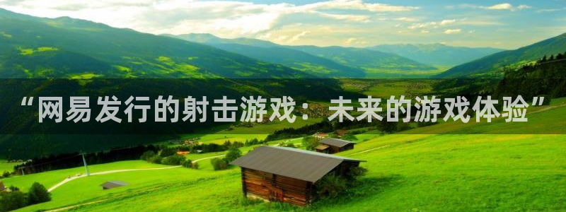 亿万28官网官网注册账号：“网易发行的射击游戏：未来的游戏体验”