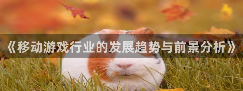 亿万28官网注册平台官网登录：《移动游戏行业的发展趋势与前景分析》