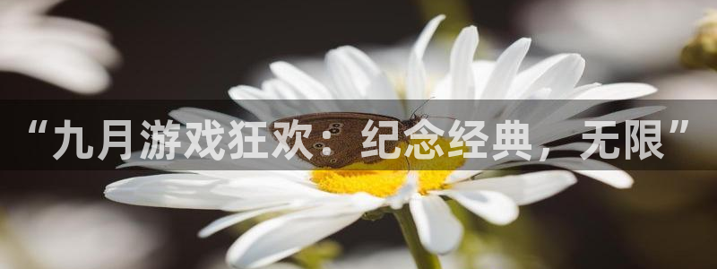 作者亿万28子小说：“九月游戏狂欢：纪念经典，无限”