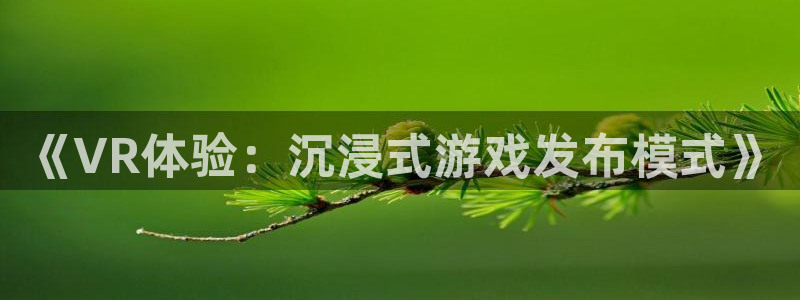 亿万28官网代理开号怎么开：《VR体验：沉浸式游戏发布模式》