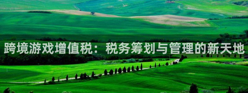 亿万28子寓意：跨境游戏增值税：税务筹划与管理的新天地